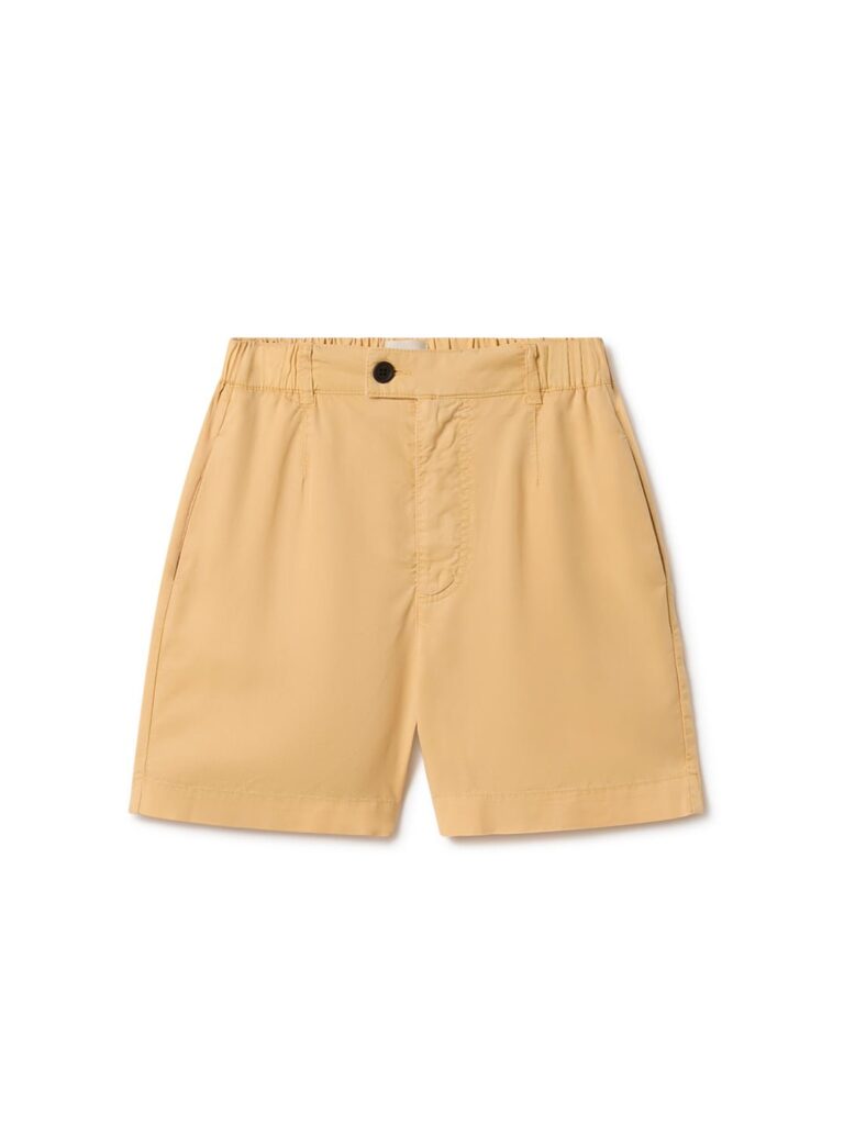shokalsky-pineapple-445950